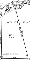 Lot 1 Plan